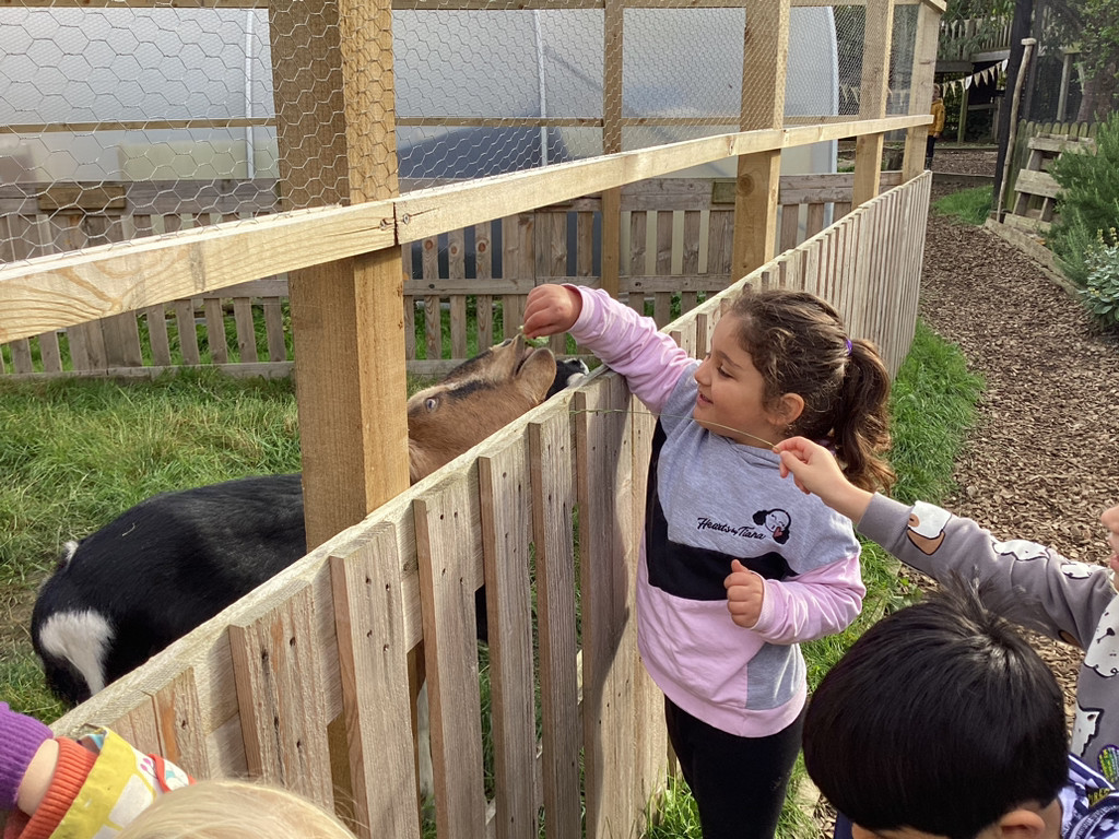 EYFS - Forest Schools