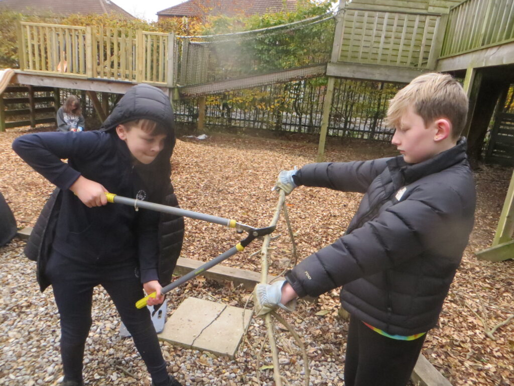 UKS2 - Tools - Forest School