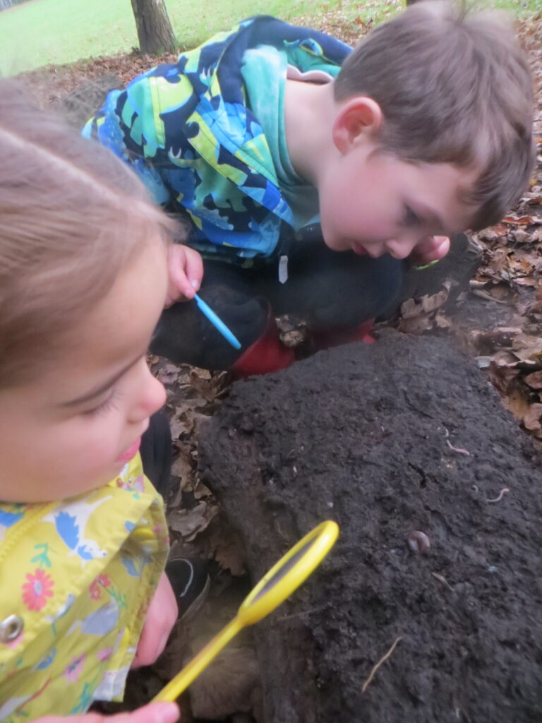 Year 1 - Minibeasts - Forest School