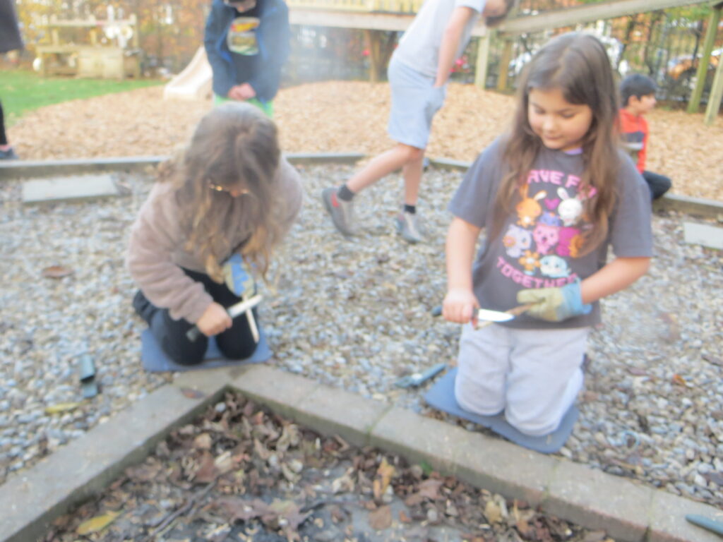 Year 4 - Whittling Knives - Forest School