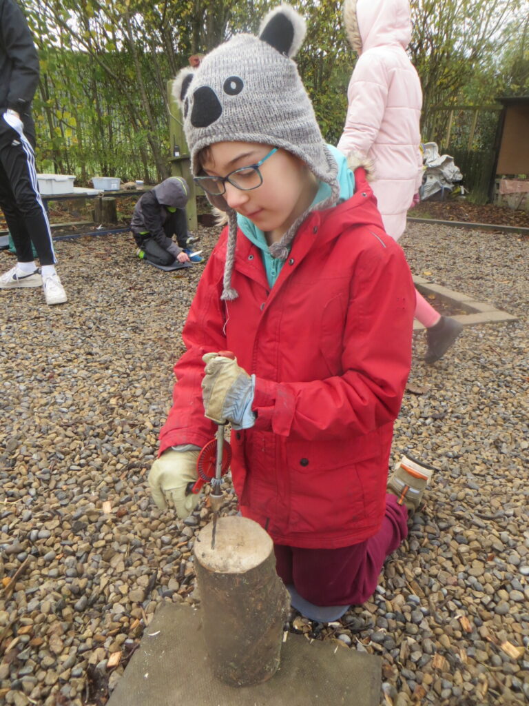 UKS2 - Tools - Forest School