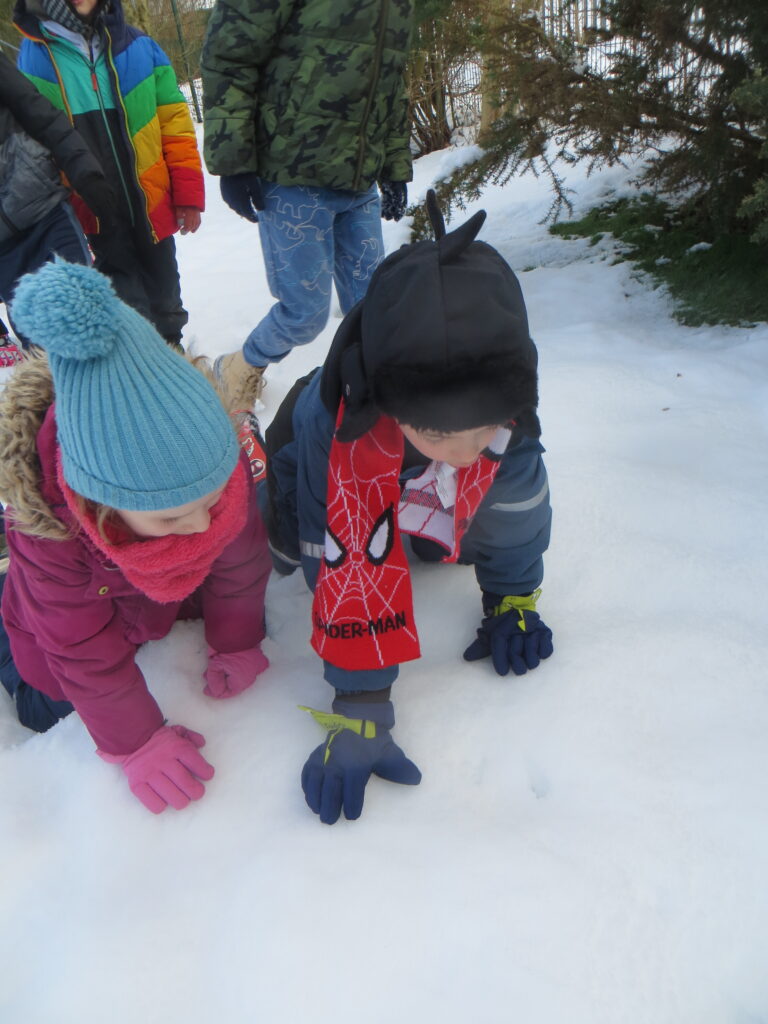 KS1 - Animal Tracking - Forest School