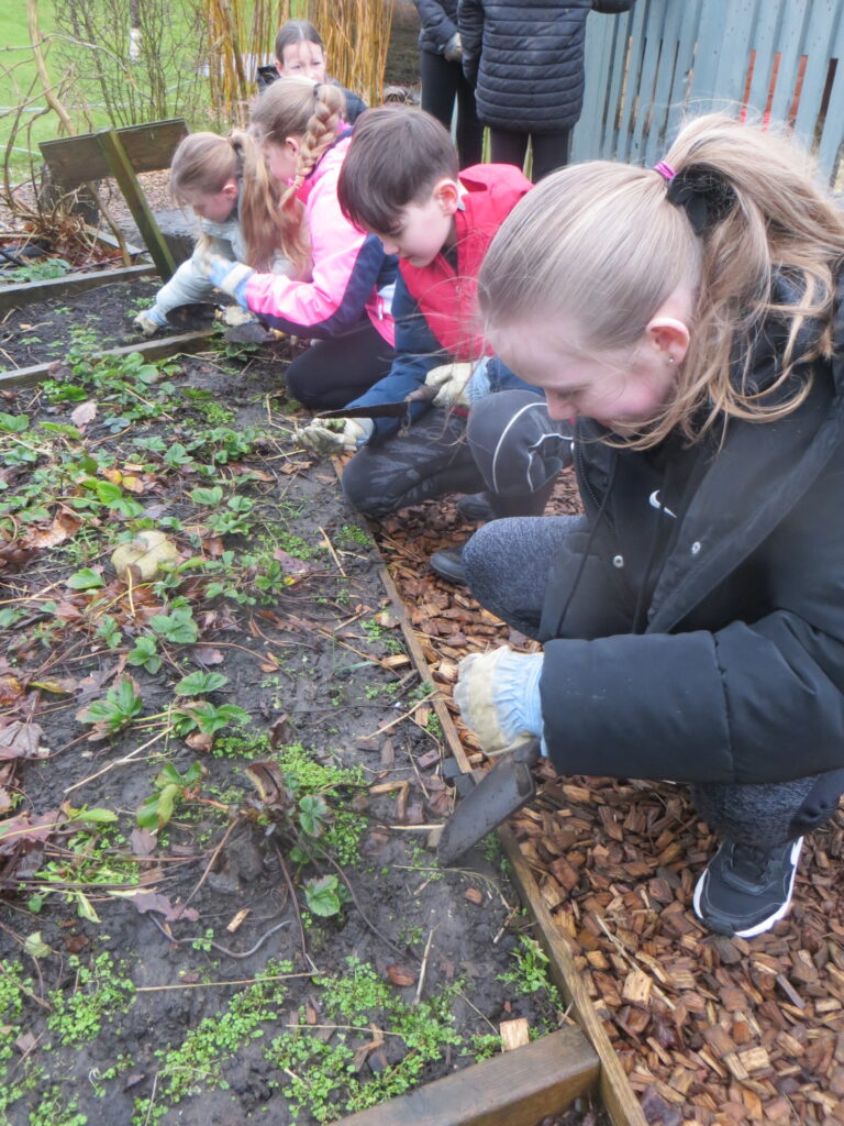 UKS2 - Tools and Knots Recap - Forest School