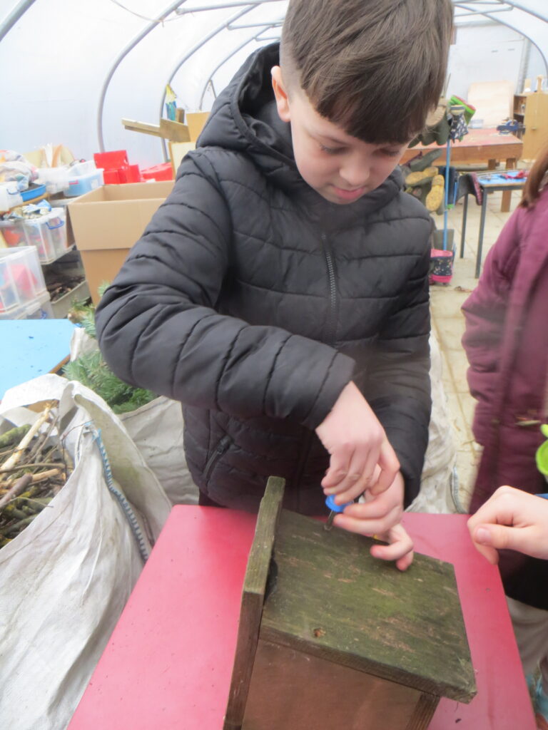 Wellbeing Wednesday - Forest School