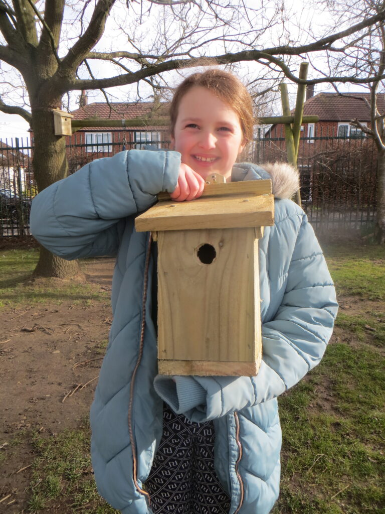 Wellbeing Wednesday - Forest School